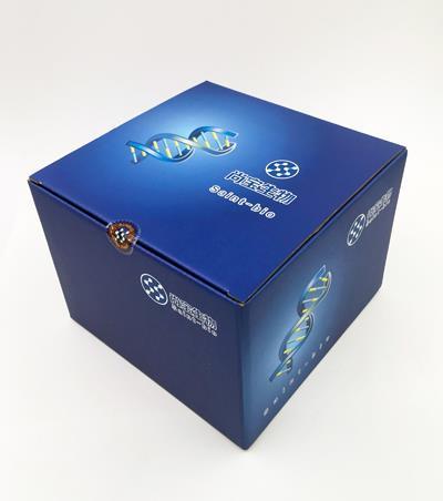 大鼠細(xì)胞間粘附分子1(lCAM-1)酶聯(lián)免疫分析試劑盒